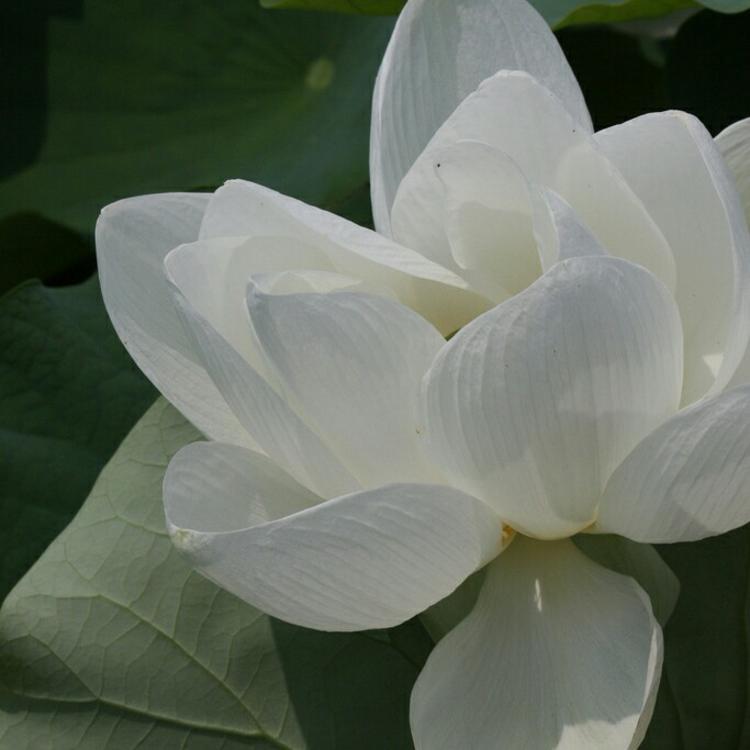 苍井优（饰 高荷惠） - 绝母1一6全集动漫在线播放15 - 客户端直播